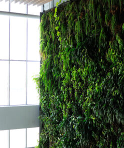 decoracion-jardines-preservado-decomos