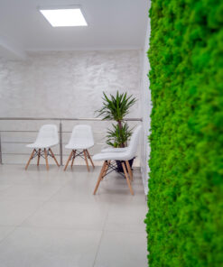 decoracion-jardines-preservado-decomos