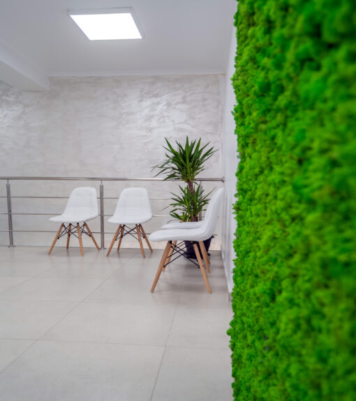 decoracion-jardines-preservado-decomos