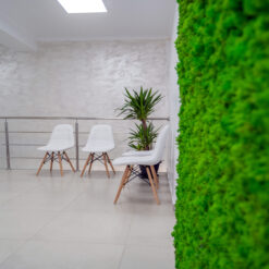 decoracion-jardines-preservado-decomos