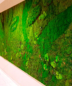 decoracion-jardines-preservado-decomos