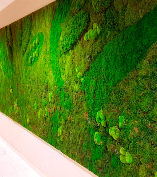 decoracion-jardines-preservado-decomos