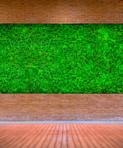 decoracion-jardines-preservado-decomos