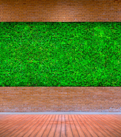 decoracion-jardines-preservado-decomos