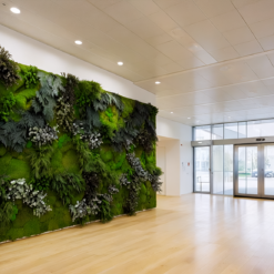 jardin-vertical-empresa-oficina-entrada-musgo-preservado