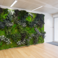 jardin-vertical-oficinas-musgo-preservado-decomos