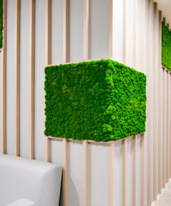 jardin-vertical-muro-musgo-liquen-preservado
