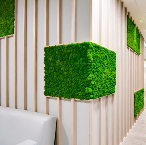 jardin-vertical-muro-musgo-liquen-preservado