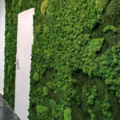pared-jardin-vertical-plantas-preservadas-musgo