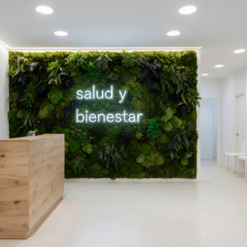recepcion-clinica-jardin-vertical-preservado-decomos