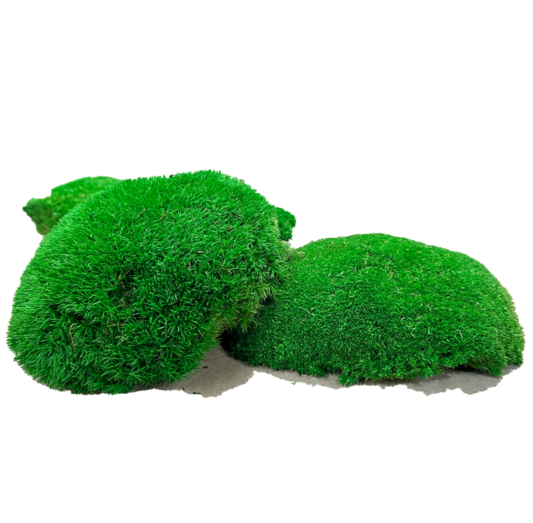 musgo-bola-verde-preservado-decomos