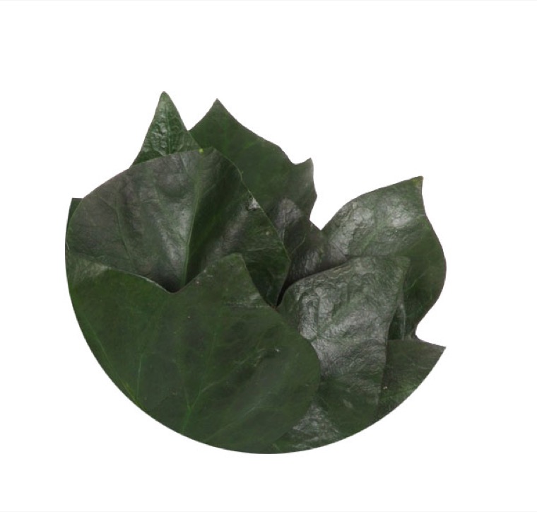 ivy-preservado-decomos-2