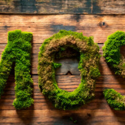 decoracion-branding-decomos
