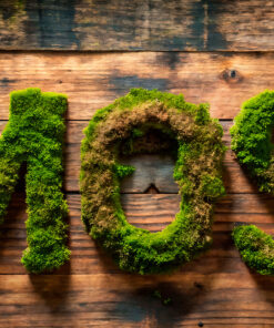 decoracion-branding-decomos