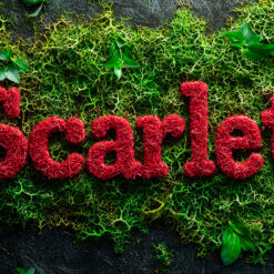 decoracion-branding-decomos