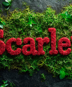 decoracion-branding-decomos