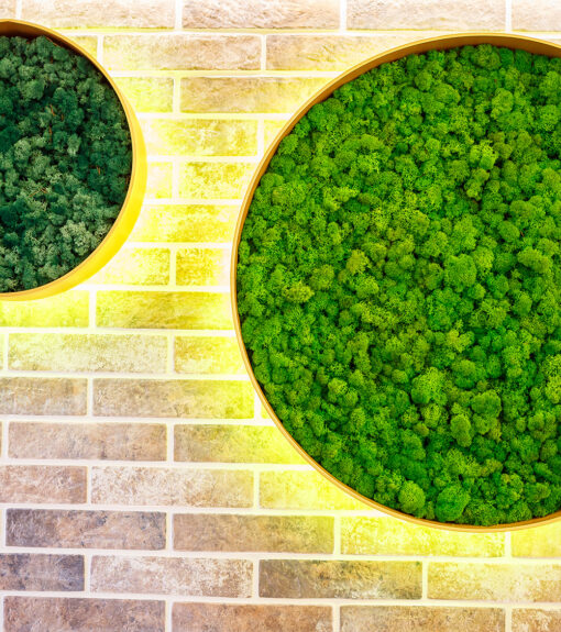 decoracion-cuadros-preservado-decomos