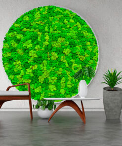 decoracion-cuadros-preservado-decomos