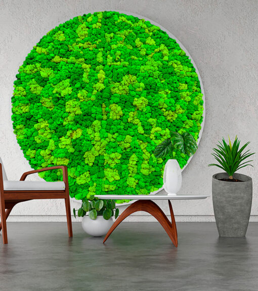 decoracion-cuadros-preservado-decomos