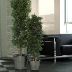 decoracion-cuadros-preservado-decomos-arboles