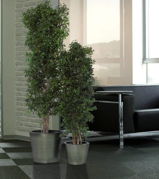 decoracion-cuadros-preservado-decomos-arboles