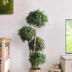decoracion-cuadros-preservado-decomos-arboles