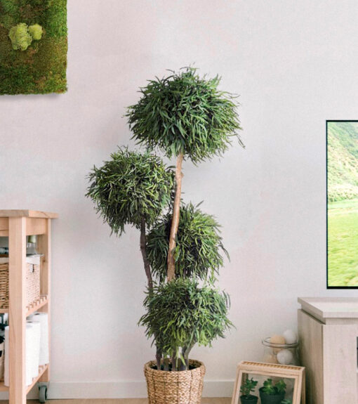 decoracion-cuadros-preservado-decomos-arboles