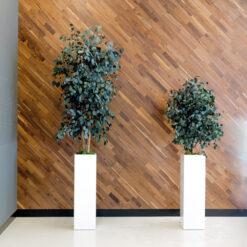 decoracion-cuadros-preservado-decomos-arboles