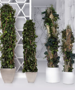 decoracion-cuadros-preservado-decomos-arboles