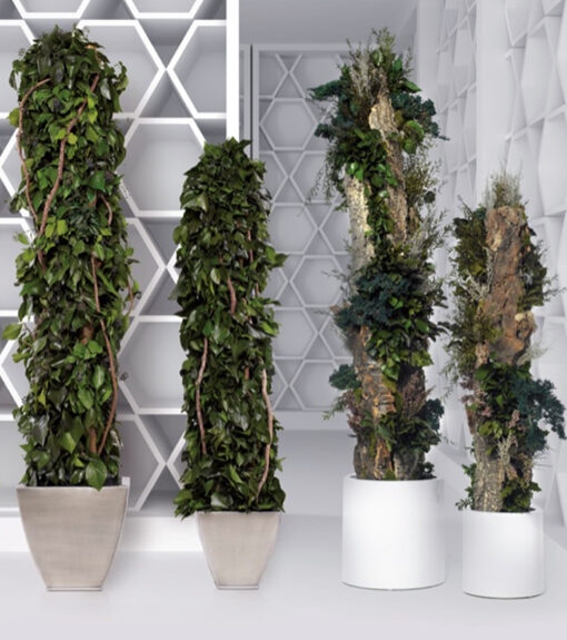 decoracion-cuadros-preservado-decomos-arboles