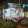 decoracion-jardineras-preservado-decomos