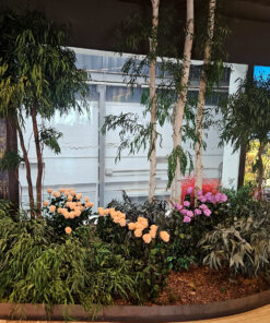decoracion-jardineras-preservado-decomos