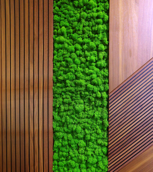 decoracion-paneles-acusticos-preservado-decomos