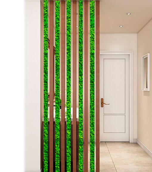 decoracion-separador-preservado-decomos