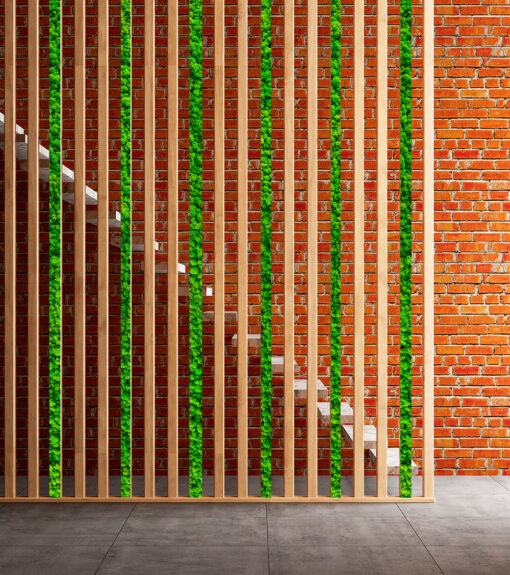 decoracion-separador-preservado-decomos