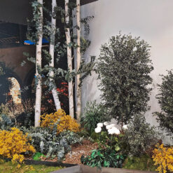 decoracion-jardineras-preservado-decomos