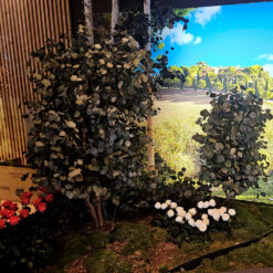 decoracion-jardineras-preservado-decomos