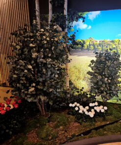 decoracion-jardineras-preservado-decomos