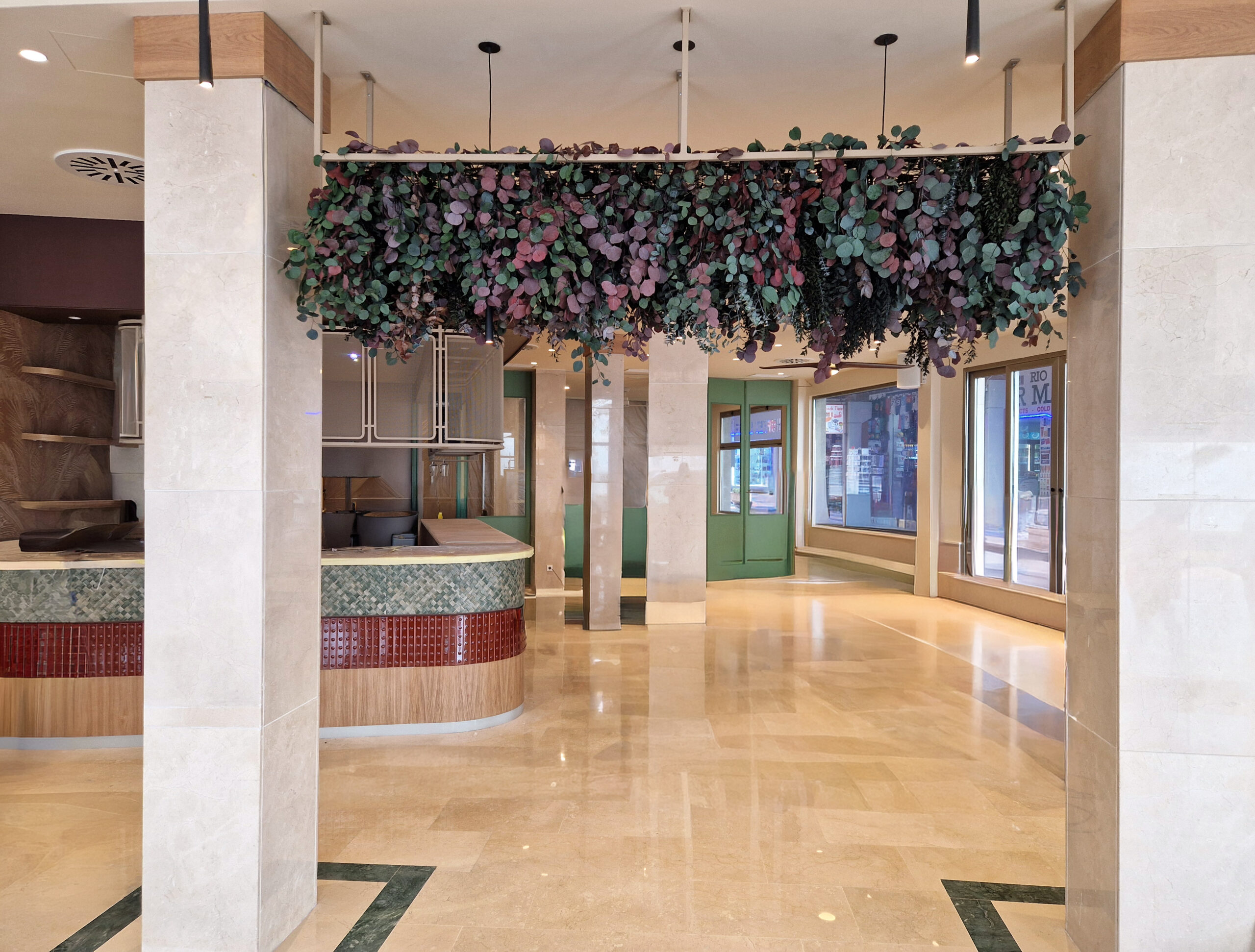 techos-con-plantas preservadas-colgantes- eucalipto