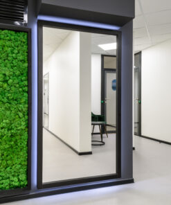 interior-oficina-jardin-vertical-muro-de-musgo-verde-liquen