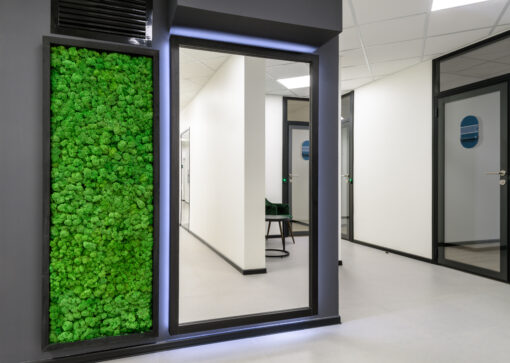 interior-oficina-jardin-vertical-muro-de-musgo-verde-liquen