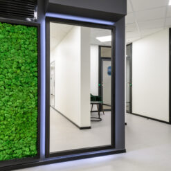 interior-oficina-jardin-vertical-muro-de-musgo-verde-liquen