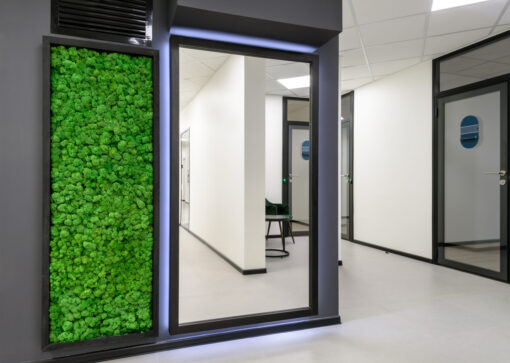 interior-oficina-jardin-vertical-muro-de-musgo-verde-liquen