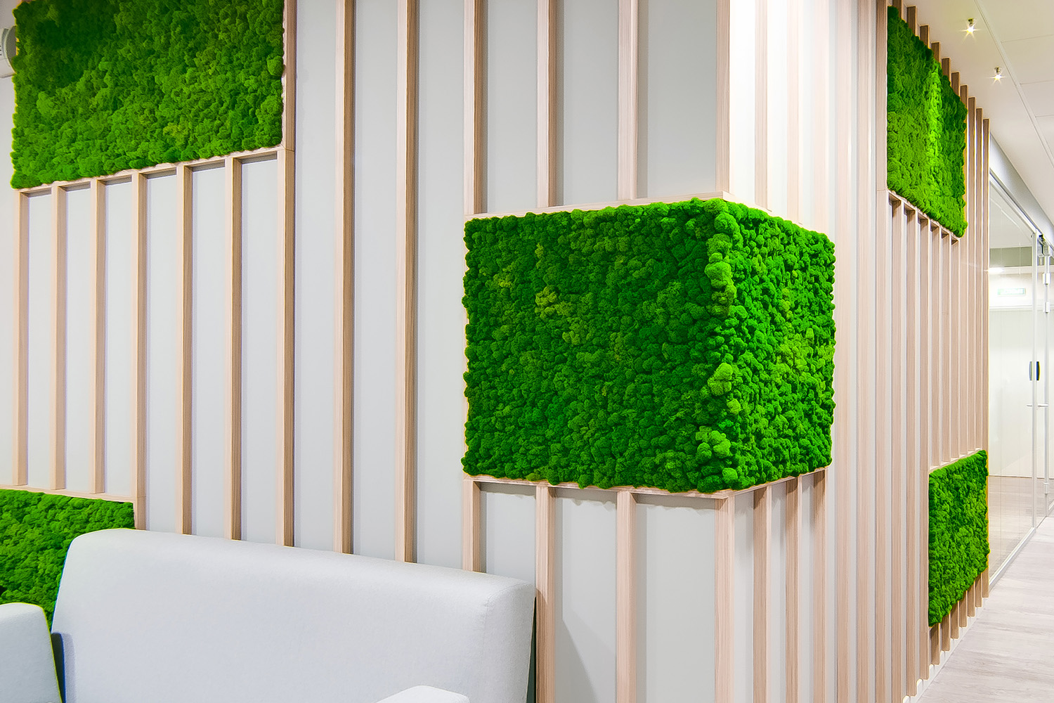 jardin-vertical-cuadros-musgo-liquen-preservado-oficinas-restaurantes-decoracion