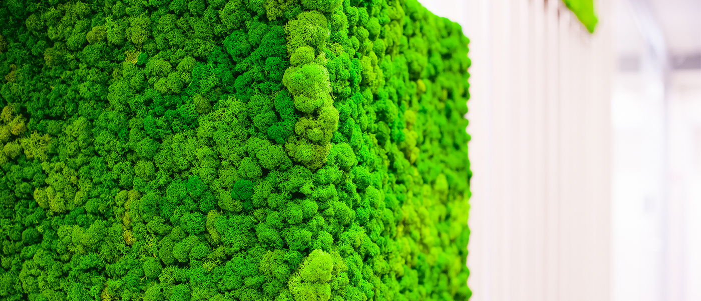 jardin-vertical-preservado-decomos