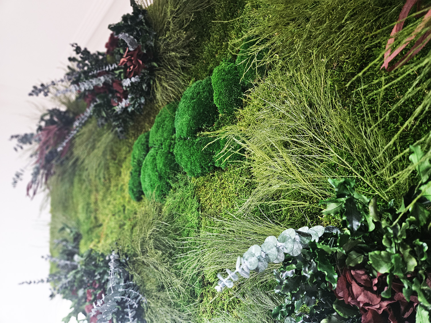 jardin-vertical-preservado-plantas-musgo-interiores