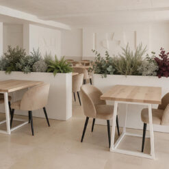 jardinera-preservado-plantas-decomos