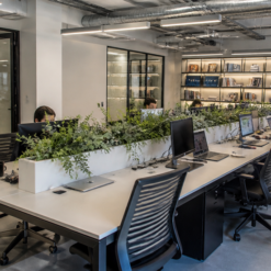 jardineras-oficinas-planter-preservado-plantas-decomos