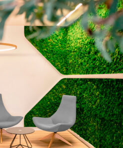 jardines-verticales-preservado-musgo-naturales