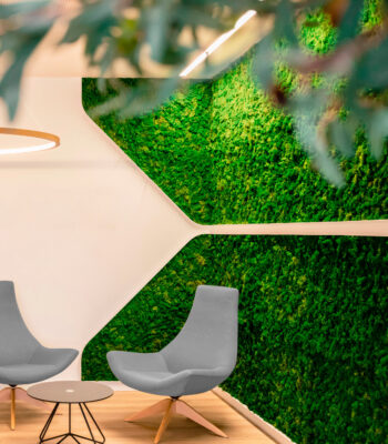 jardines-verticales-preservado-musgo-naturales